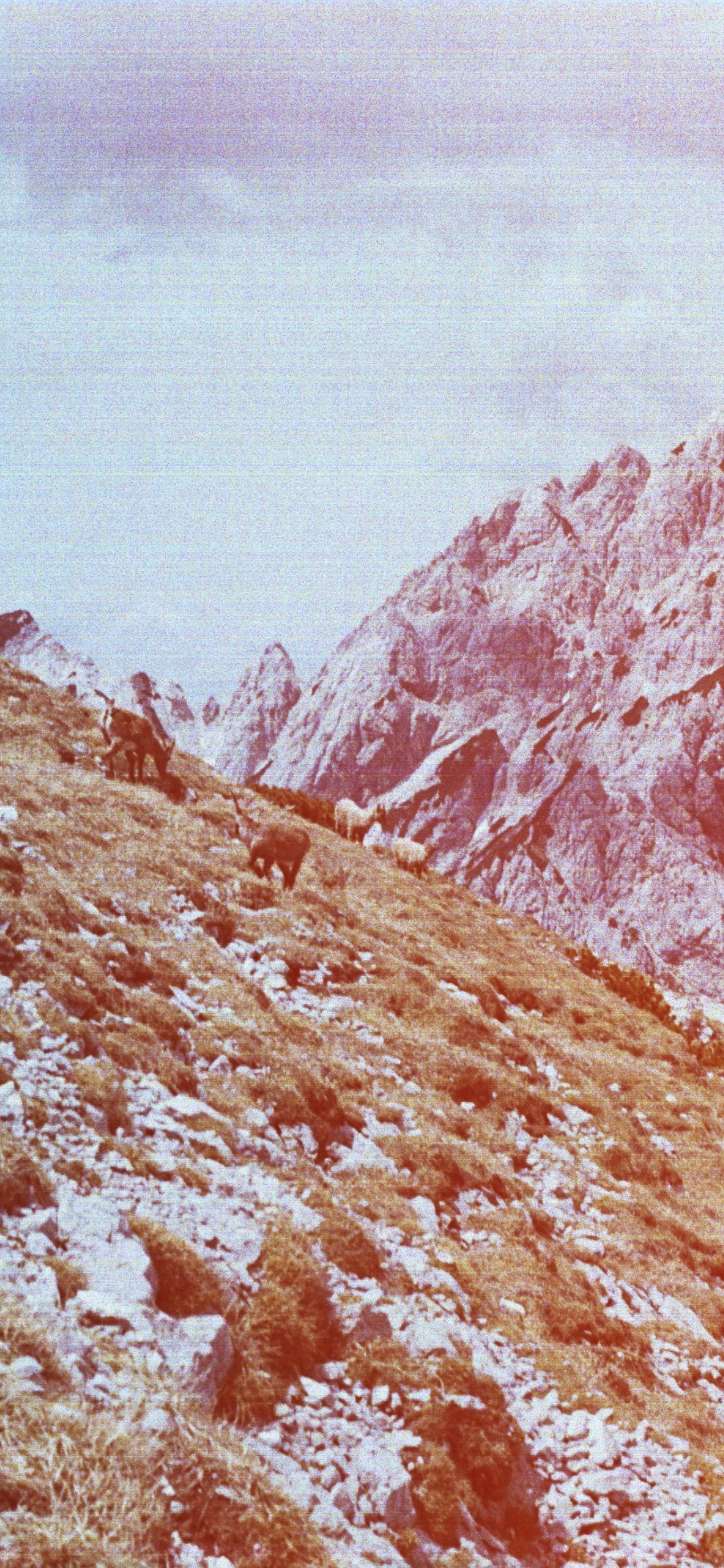 Mount Brana